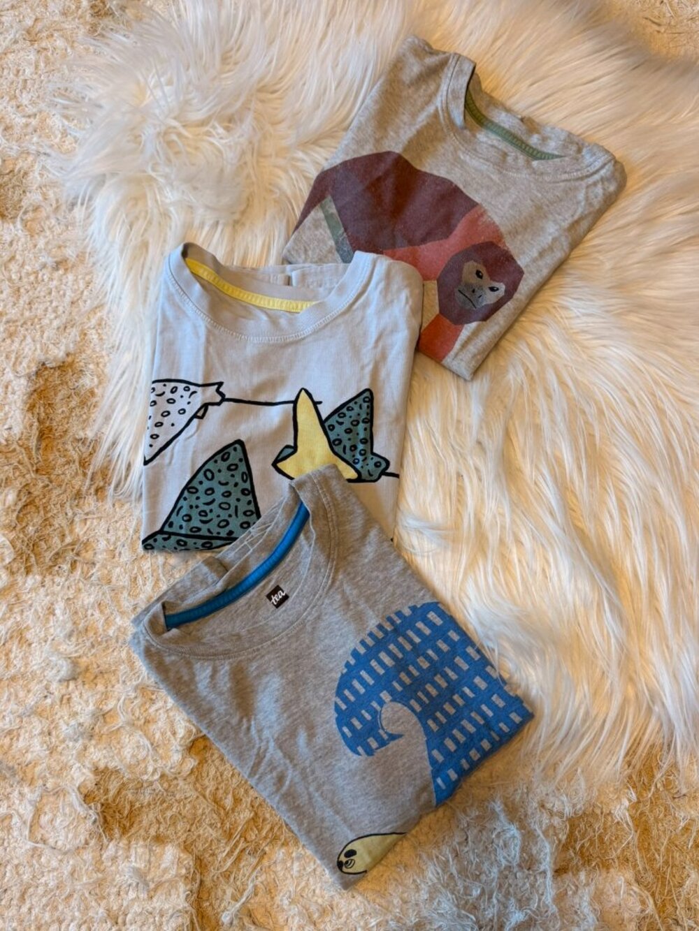Tea Collection Animal T-Shirt Bundle 8